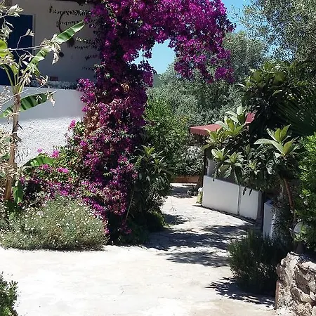 Deren Apart Hotel apartamentowy *