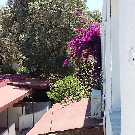 Deren Apart Lägenhetshotell Guvercinlik (Bodrum)